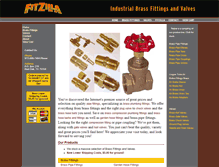 Tablet Screenshot of fitzilla.com